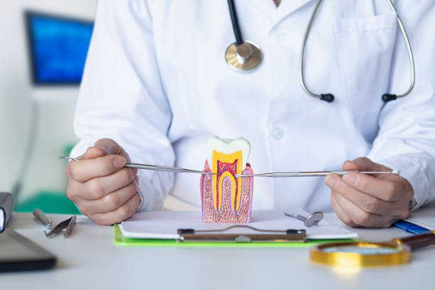 Best Broken or Cracked Tooth Emergency Dentist in Montrose, NY